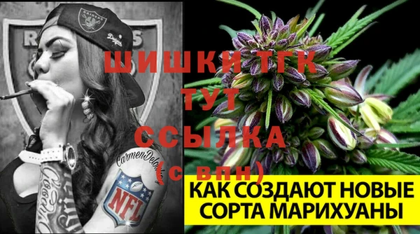 стаф Белоозёрский