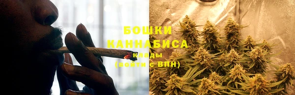 метадон Белокуриха