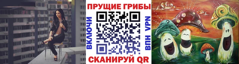 Псилоцибиновые грибы Psilocybe цены наркотик Новотитаровская