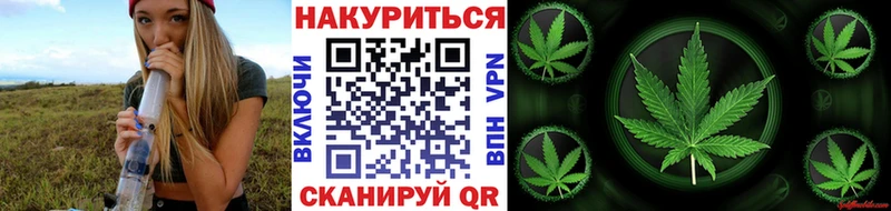 Бошки Шишки OG Kush  Новотитаровская 